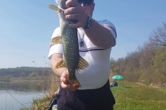 539919_1164520177026350_4706822379457368942_n